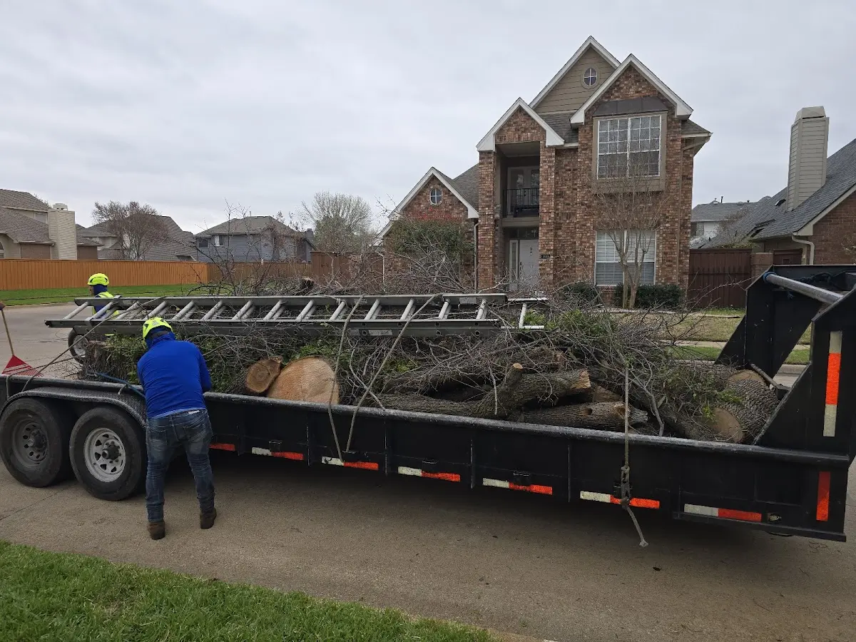 Expert Tree Pest Control with proper safety equipment in Camp Grove